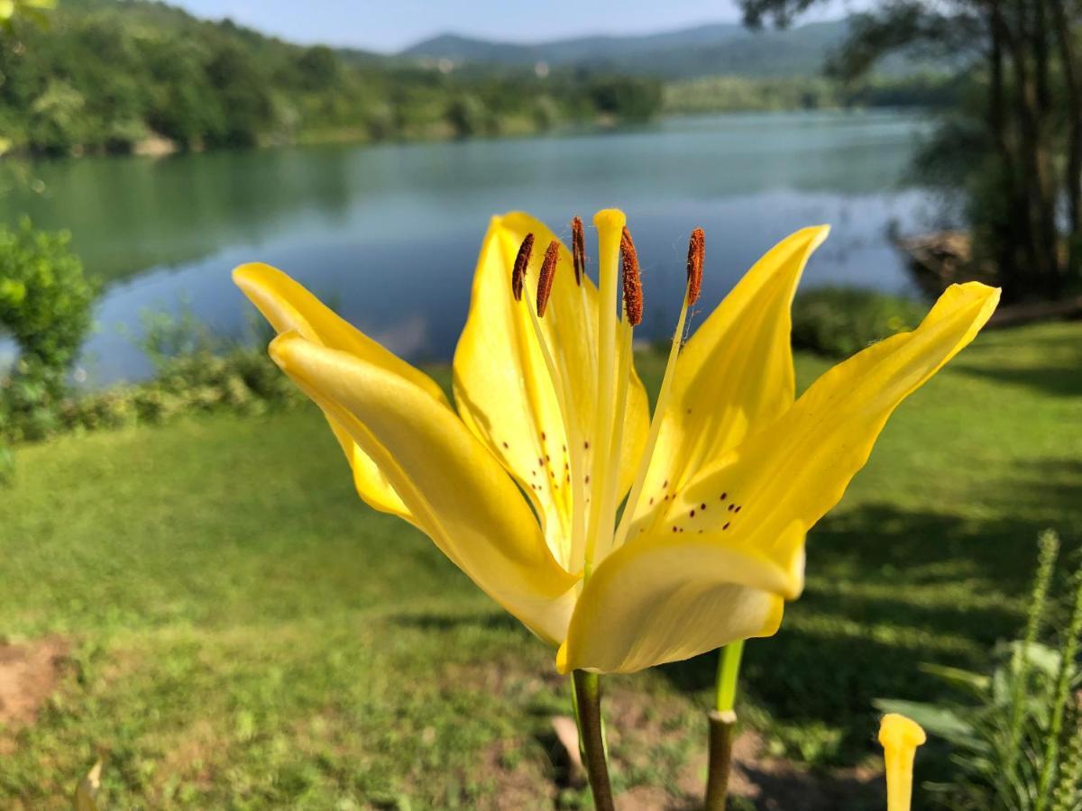 Jezero Snijeznica - Vikendica Villa Ngoại thất bức ảnh
